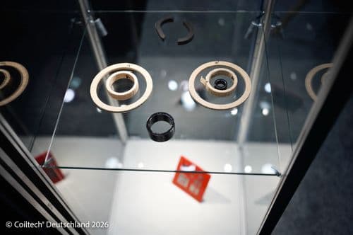 Ringbandkerne